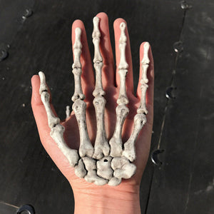 Skeleton Hands Scary Props