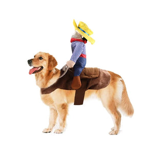 Pet Horse Riding Costume