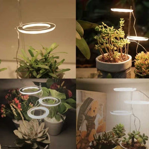 Grow lights for indooe plants