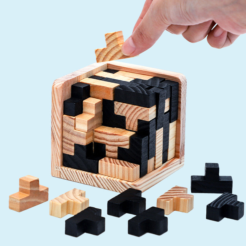 Puzzle Kong Ming Lock Toy
