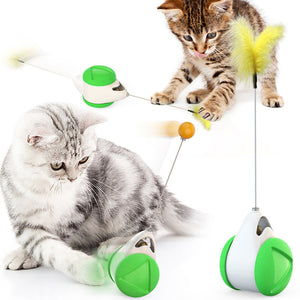 Funny Cat Swing Pet Toy