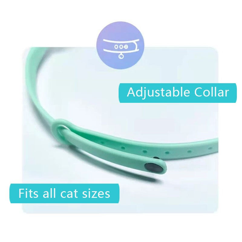 🔥Electric Smart Amusing Collar for Kitten