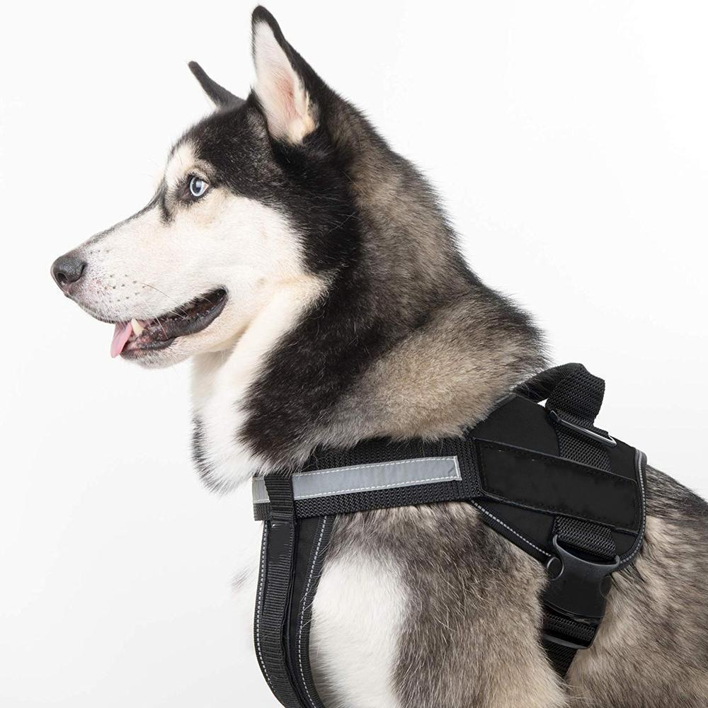 Large Dog Chest Harness