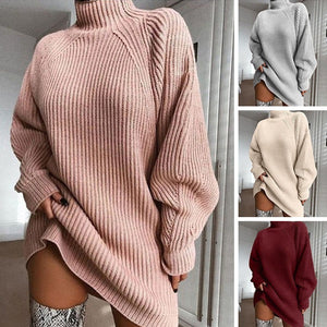 Cotton Turtleneck Raglan Sleeve Sweater Dress